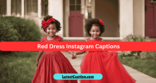 Instagram Captions For Red Outfits