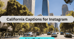 california captions for instagram