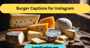 Burger Captions for Instagram