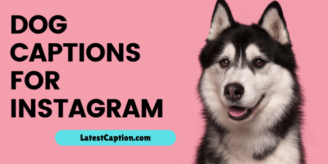 Dog Captions for Instagram​