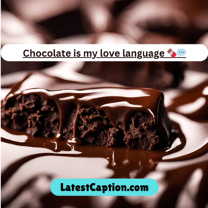 caption for chocolate lover​ 