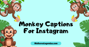 Monkey Instagram Captions