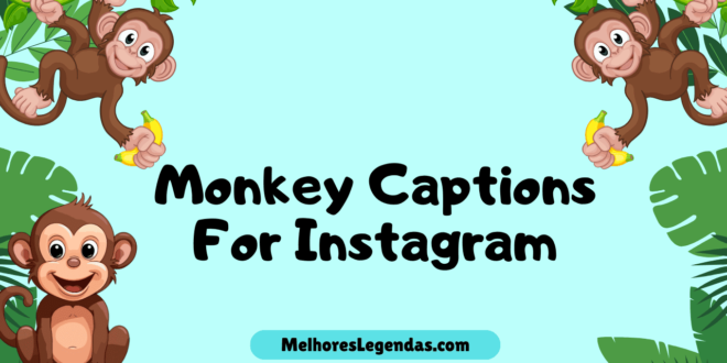 Monkey Instagram Captions