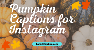 Pumpkin Patch Captions