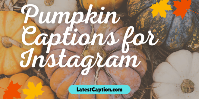 Pumpkin Patch Captions