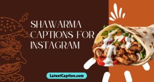 Best Shawarma Captions