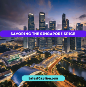 Caption for Singapore Trip