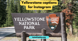 Yellowstone captions