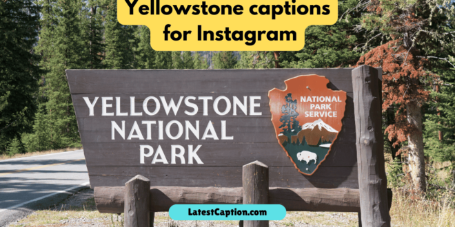 Yellowstone captions