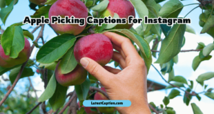 Apple Picking Captions