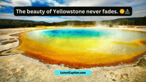 Yellowstone Show Captions