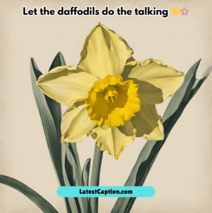 Short Daffodil Captions for Instagram